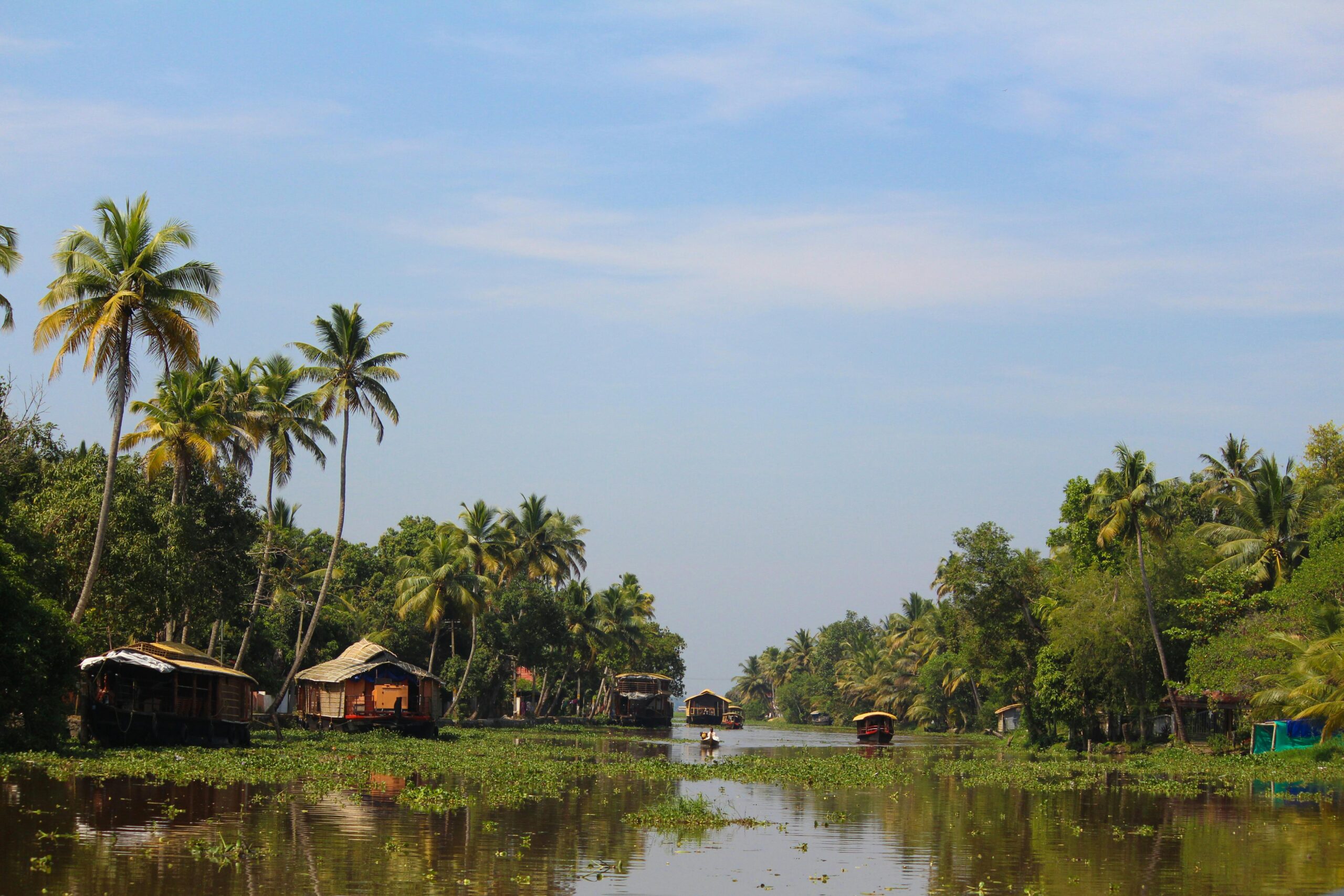 Kerala backwaters